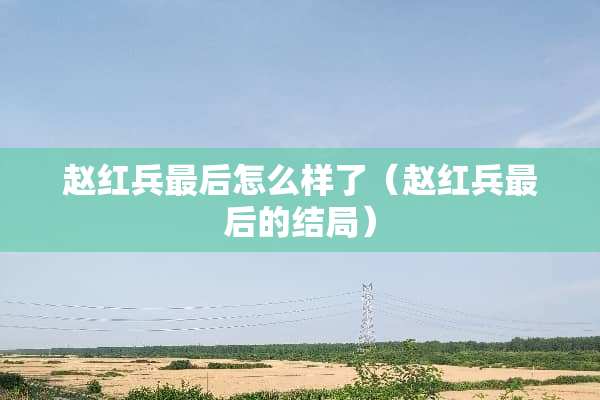 赵红兵最后怎么样了（赵红兵最后的结局）