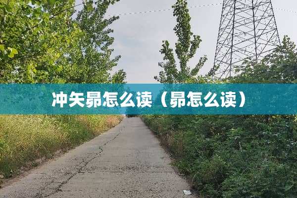 冲矢昴怎么读（昴怎么读）