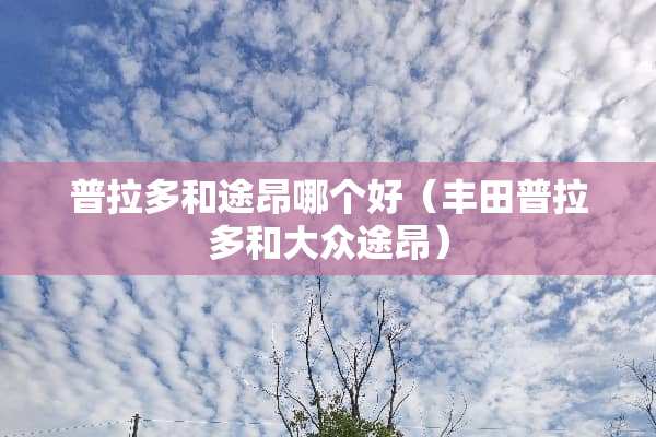 普拉多和途昂哪个好（丰田普拉多和大众途昂）