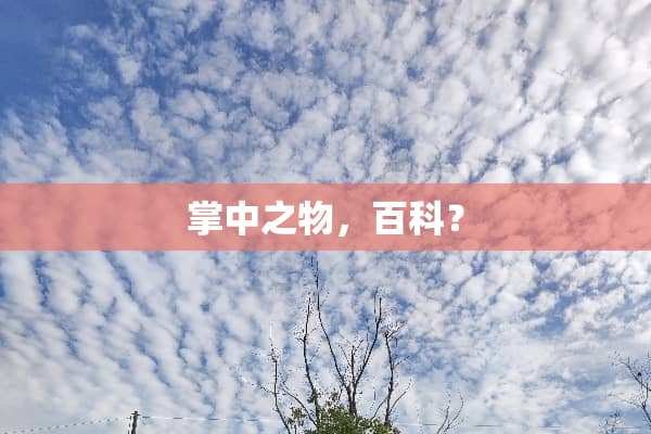 掌中之物，百科？