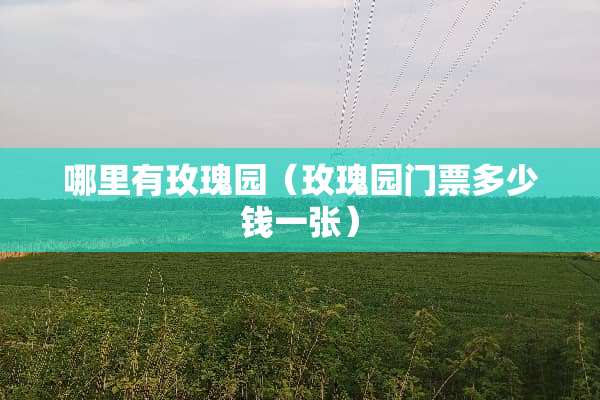 哪里有玫瑰园（玫瑰园门票多少钱一张）