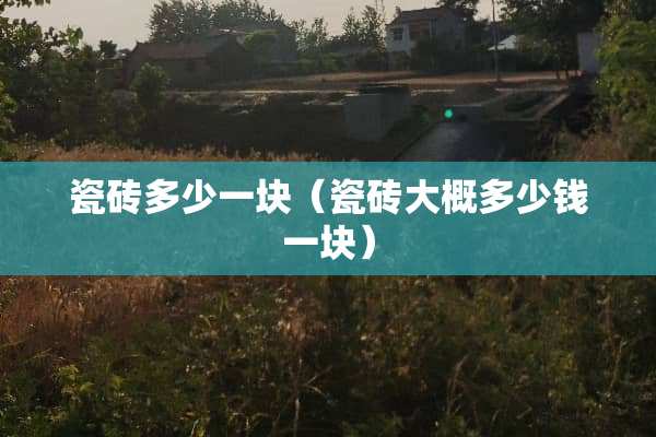 瓷砖多少一块（瓷砖大概多少钱一块）