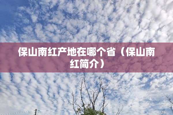保山南红产地在哪个省（保山南红简介）