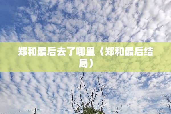 郑和最后去了哪里（郑和最后结局）