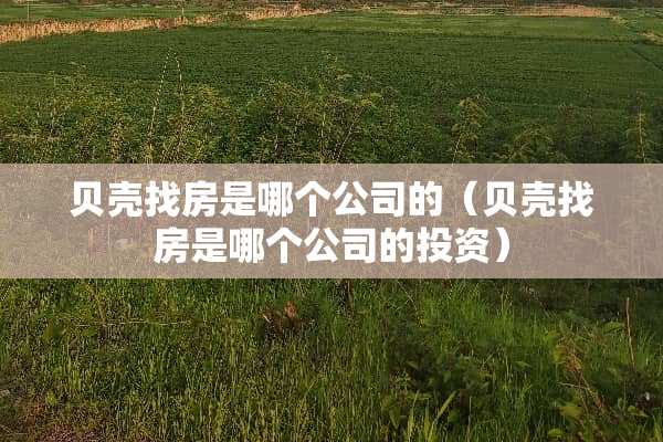 贝壳找房是哪个公司的（贝壳找房是哪个公司的投资）