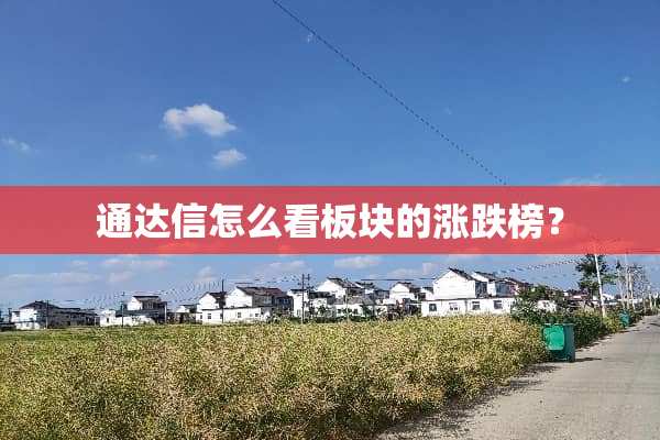 通达信怎么看板块的涨跌榜？