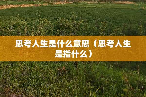 思考人生是什么意思（思考人生是指什么）