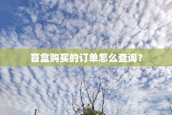 盲盒购买的订单怎么查询？