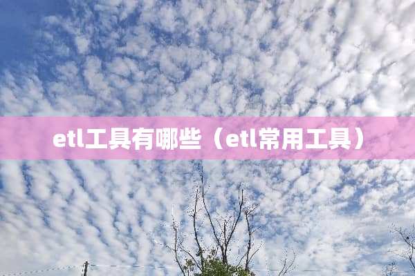 etl工具有哪些（etl常用工具）