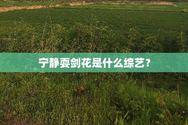 宁静耍剑花是什么综艺？