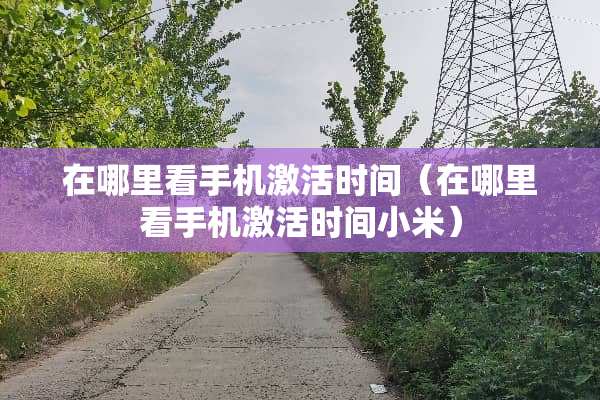 在哪里看手机激活时间（在哪里看手机激活时间小米）
