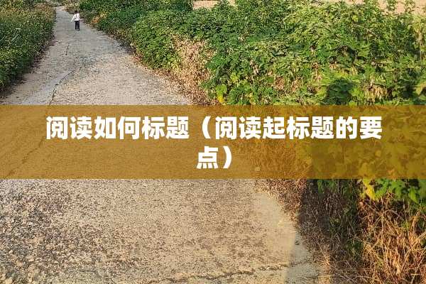 阅读如何标题（阅读起标题的要点）