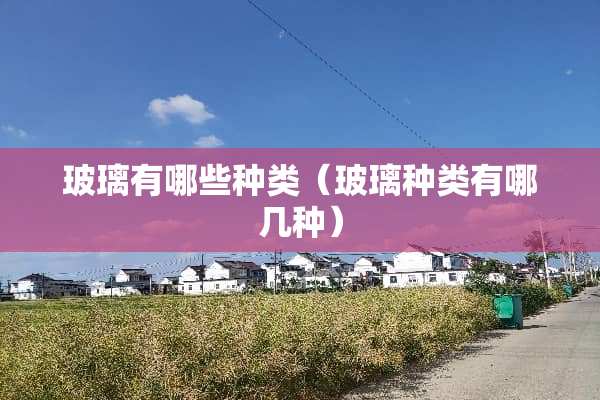 玻璃有哪些种类（玻璃种类有哪几种）