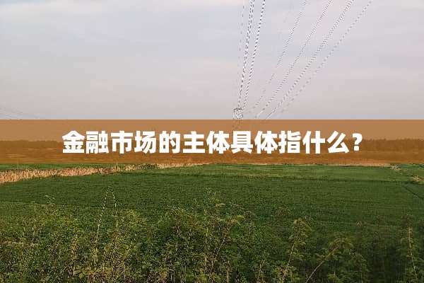 金融市场的主体具体指什么？