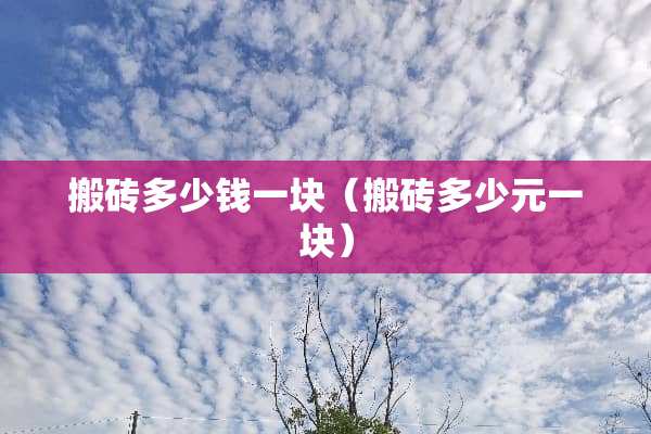 搬砖多少钱一块（搬砖多少元一块）