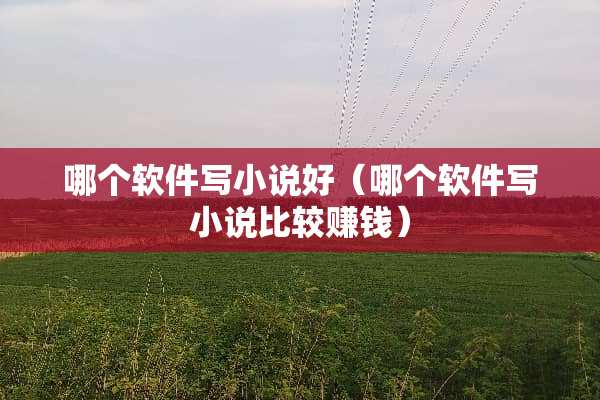 哪个软件写小说好（哪个软件写小说比较赚钱）