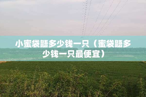 小蜜袋鼯多少钱一只（蜜袋鼯多少钱一只最便宜）