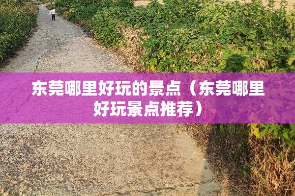 东莞哪里好玩的景点（东莞哪里好玩景点推荐）