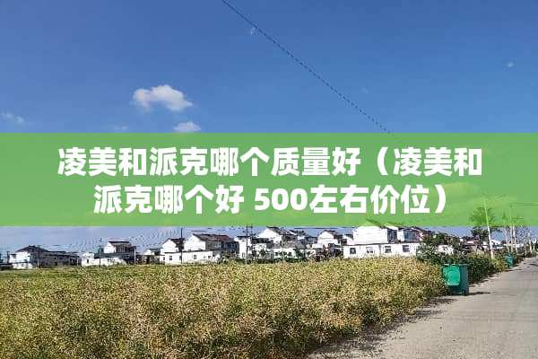 凌美和派克哪个质量好（凌美和派克哪个好 500左右价位）