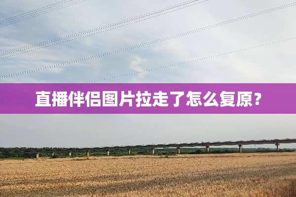 直播伴侣图片拉走了怎么复原？