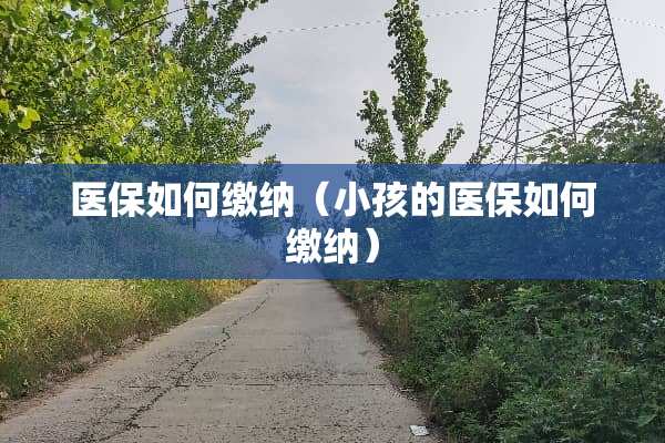 医保如何缴纳（小孩的医保如何缴纳）