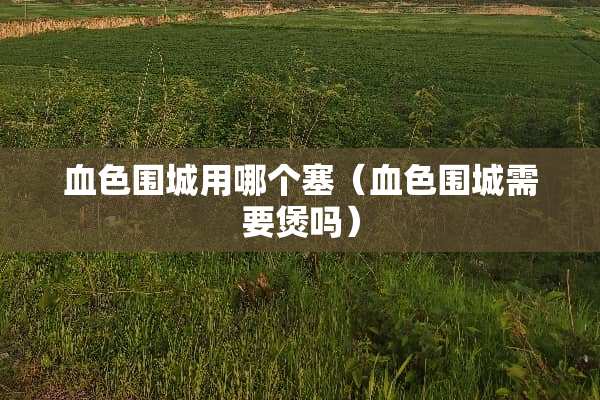 血色围城用哪个塞（血色围城需要煲吗）