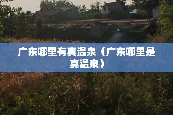 广东哪里有真温泉（广东哪里是真温泉）