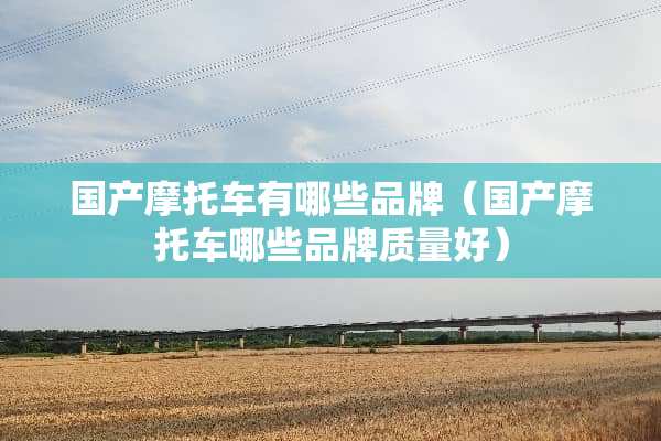 国产摩托车有哪些品牌（国产摩托车哪些品牌质量好）