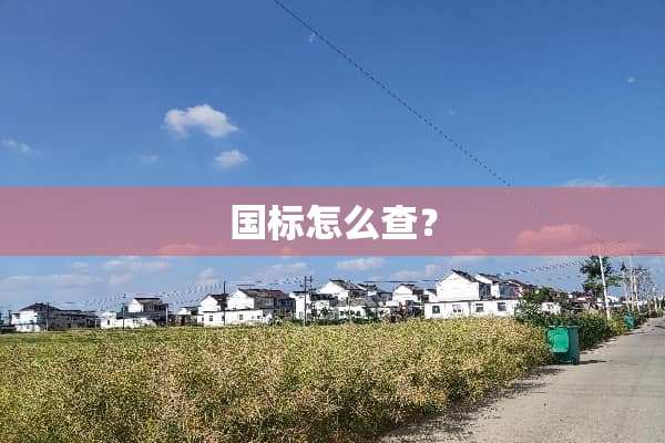 国标怎么查？