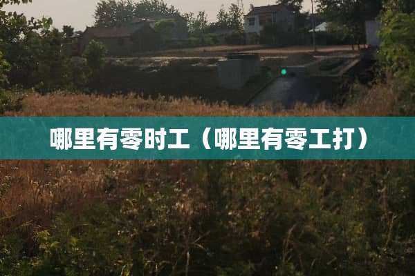 哪里有零时工（哪里有零工打）