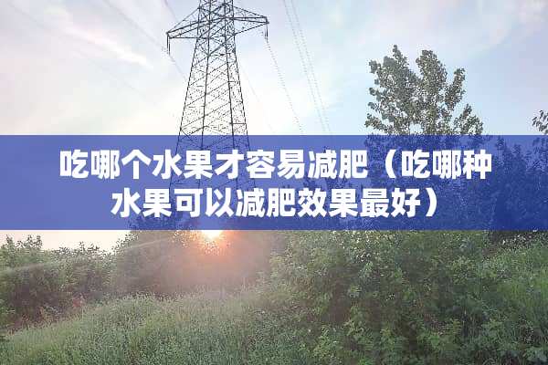 吃哪个水果才容易减肥（吃哪种水果可以减肥效果最好）