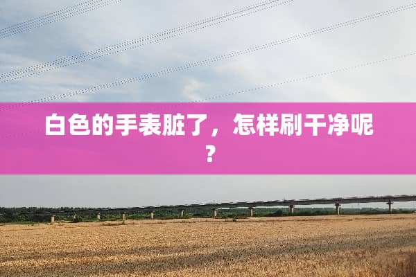 白色的手表脏了，怎样刷干净呢？