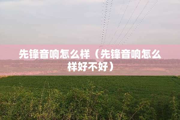 先锋音响怎么样（先锋音响怎么样好不好）