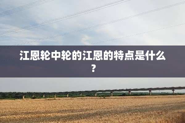 江恩轮中轮的江恩的特点是什么？