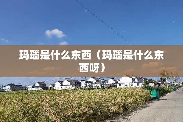 玛瑙是什么东西（玛瑙是什么东西呀）