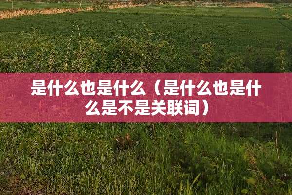 是什么也是什么（是什么也是什么是不是关联词）