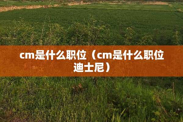 cm是什么职位（cm是什么职位迪士尼）