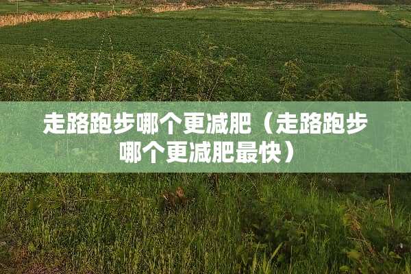 走路跑步哪个更减肥（走路跑步哪个更减肥最快）