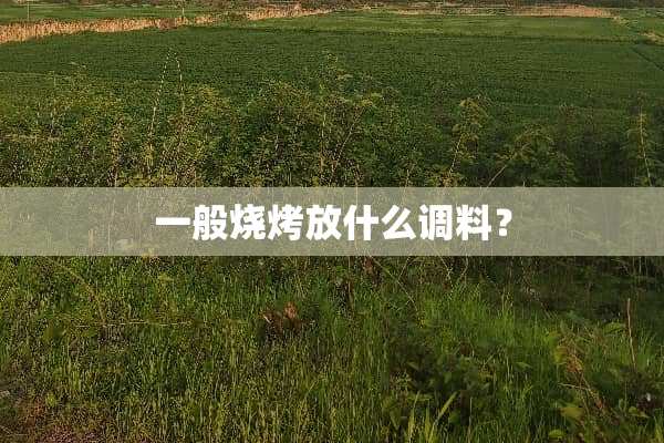 一般烧烤放什么调料？