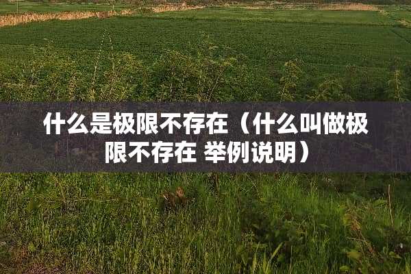 什么是极限不存在（什么叫做极限不存在 举例说明）