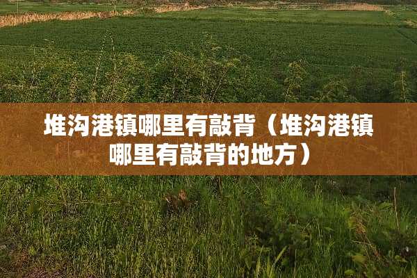 堆沟港镇哪里有敲背（堆沟港镇哪里有敲背的地方）