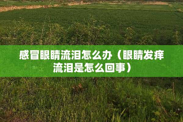 感冒眼睛流泪怎么办（眼睛发痒流泪是怎么回事）