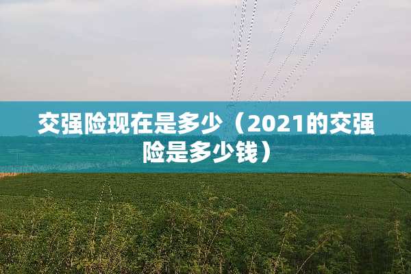 交强险现在是多少（2021的交强险是多少钱）