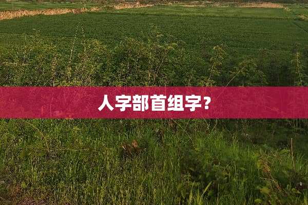 人字部首组字？