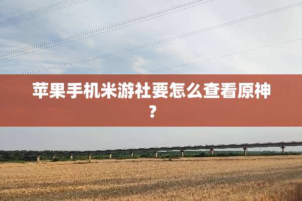 苹果手机米游社要怎么查看原神？