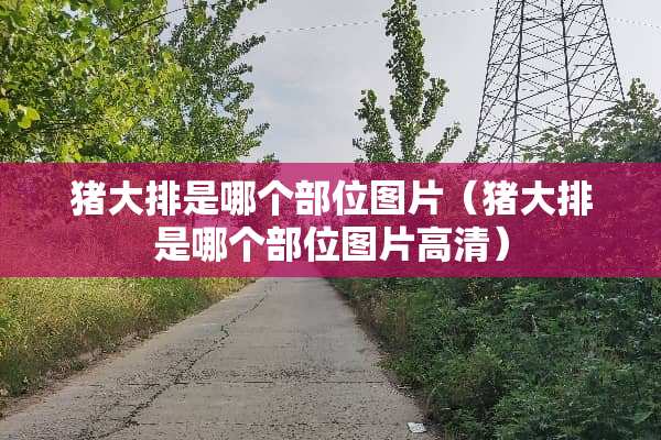 猪大排是哪个部位图片（猪大排是哪个部位图片高清）