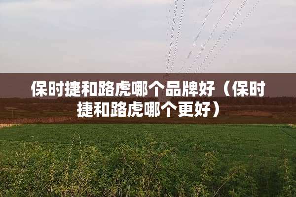 保时捷和路虎哪个品牌好（保时捷和路虎哪个更好）