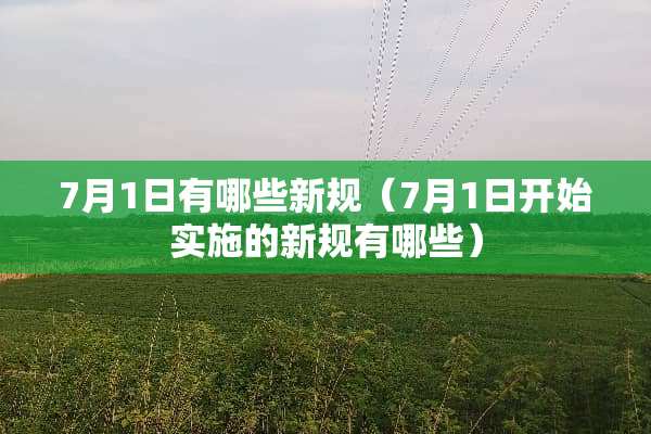 7月1日有哪些新规（7月1日开始实施的新规有哪些）
