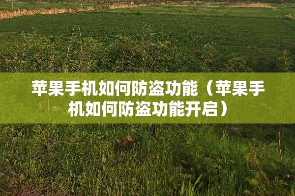 苹果手机如何防盗功能（苹果手机如何防盗功能开启）