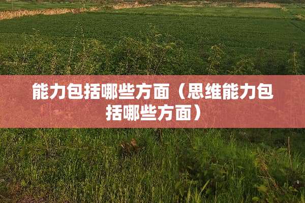 能力包括哪些方面（思维能力包括哪些方面）